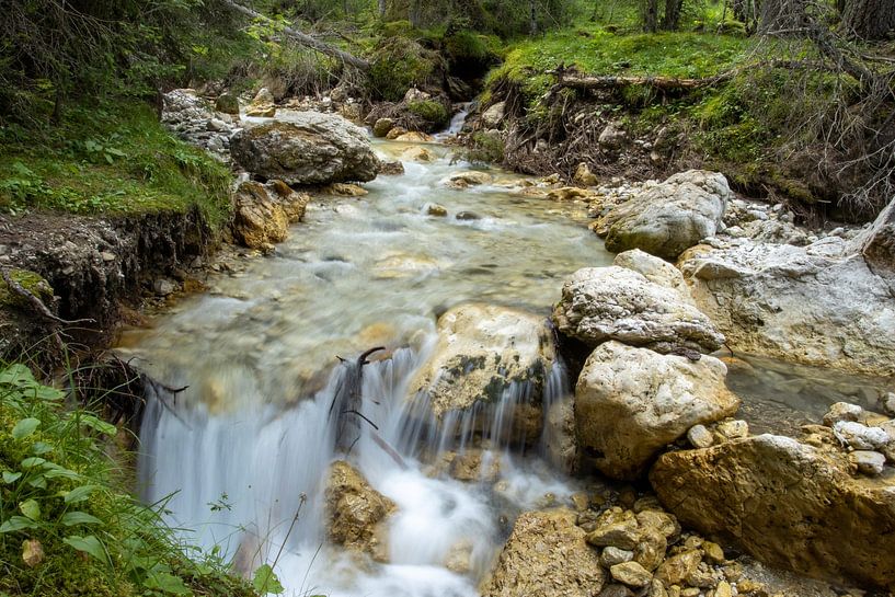 nature by Sebastian Stef