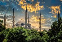 Sechs Finger zeigten in den Himmel