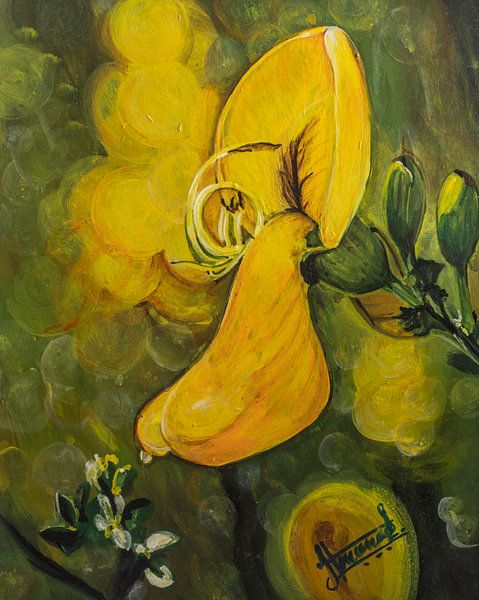 Fleurs sauvages par Henk Goossens