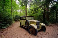 car in the forest