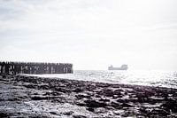 Ship sailing by Westkapelle, Netherlands