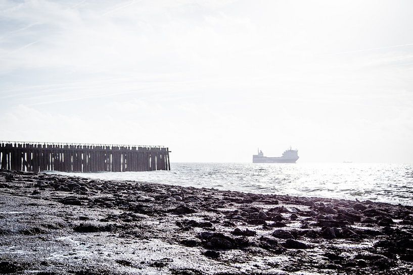 Ship sailing by Westkapelle, Netherlands by Ria Peene