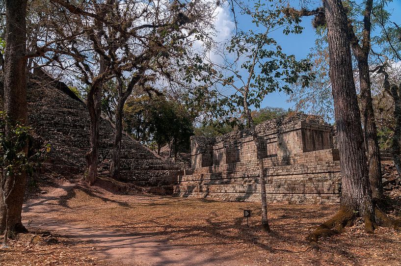 Honduras: Copán (Los Sapos) by Maarten Verhees