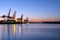 Altenwerder am Abend VII