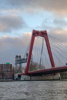 Ponts à Rotterdam