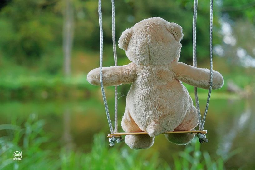Bear on swing von hinten. von Sailographic Paula