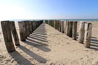 golfbreker koudekerke