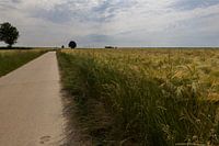 Ackerland in Belgisch-Limburg