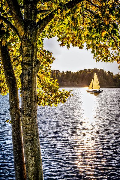 Segelschiff und Hainbuche von Dieter Walther