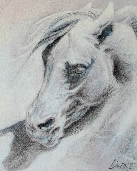 Roman Horse in pastel by Lineke Lijn