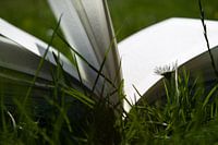 Zomertijd - Summertime and the livin' is easy!