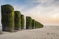 Plage d'ameland