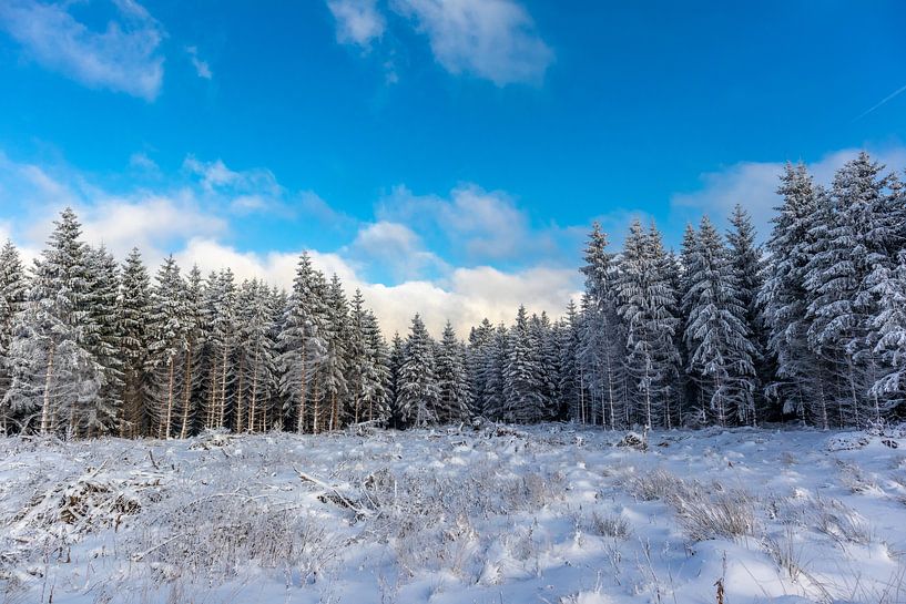 Première randonnée hivernale sur le Rennsteig par Oliver Hlavaty