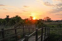 Bridge over the water at sunset