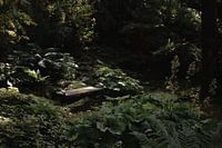 Die grüne Ruhestätte