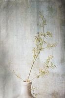 Verträumtes Unkraut