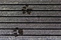 Pootafdrukken van een kat na nachtvorst