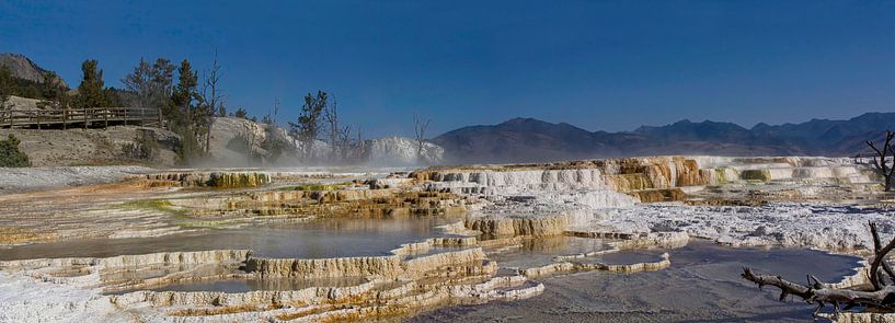 Parc national de Yellowstone, Mammoth Hot Springs par Gert Hilbink
