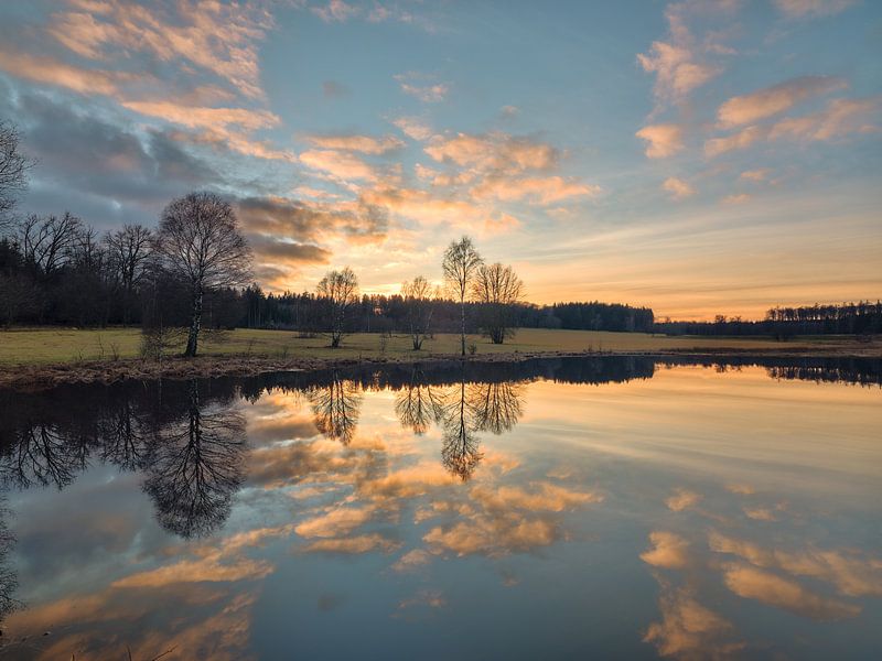Winter sun in the Weiherwiesen by Max Schiefele