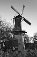 Moulin De Drie Koornbloemen à Schiedam