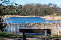 Bank an der Uferpromenade von Oostvoorne