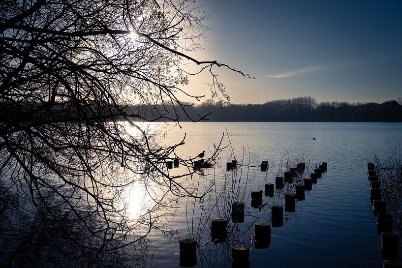 The winter sun 1 by GyGa foto's