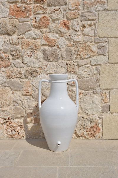 Pichet blanc au soleil par Bianca ter Riet