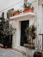 Voordeur omringt door mooie planten - Botanische kleurrijke print