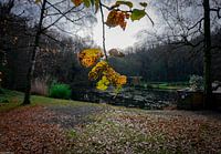 Sonniger Hintergrund