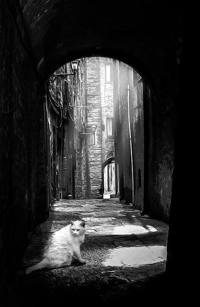 Eine weiße Katze in einer dunklen Gasse von Studio Mirabelle