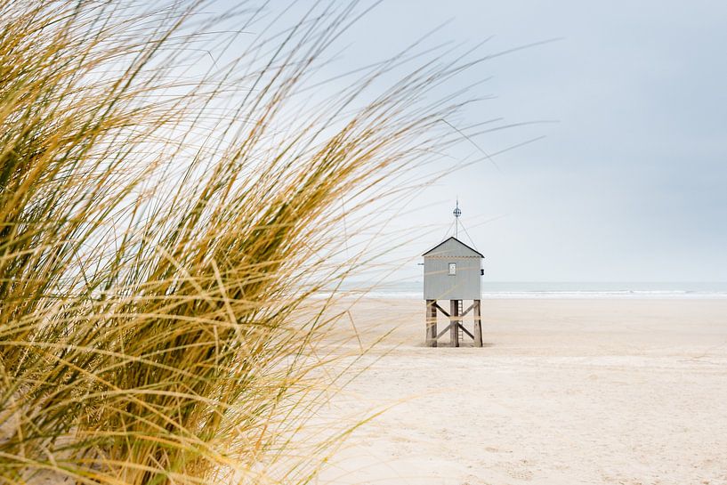 Terschelling Ertrinkungshaus Wattenmeerdünen von Terschelling in beeld
