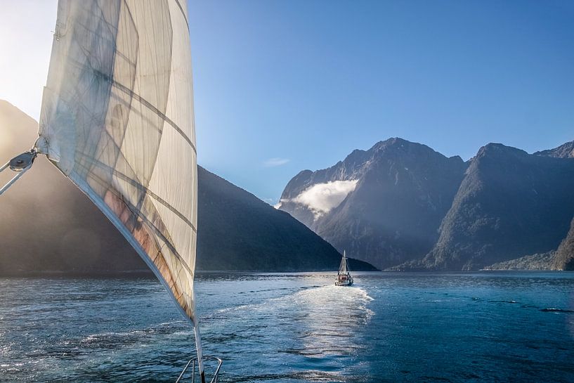 On the boat in Milford Sound, New Zealand by Christian Müringer