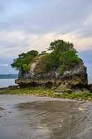 Felsen mit Vegetation