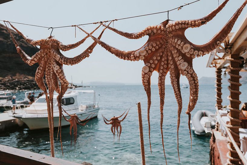Trocknen von Tintenfisch in der Amoudi Bay, Santorini Griechenland von Manon Visser