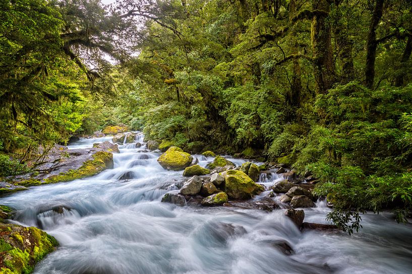 Ruige rivier door het bos von Jasper den Boer