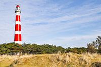 Die Landschaft von Ameland mit Blick auf den Leuchtturm