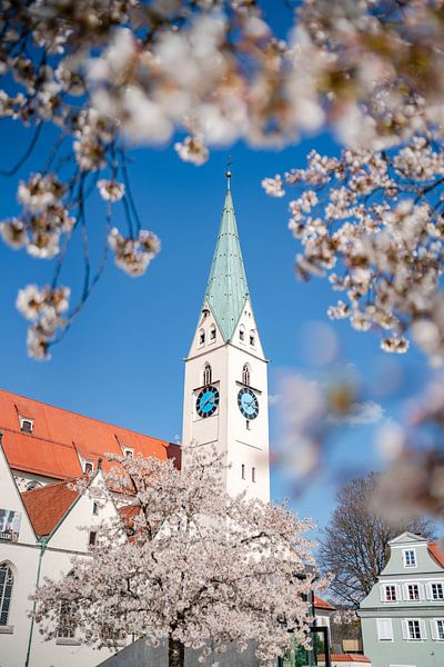 Amandiers en fleurs au printemps sur la place et l'église St. Mang par Leo Schindzielorz