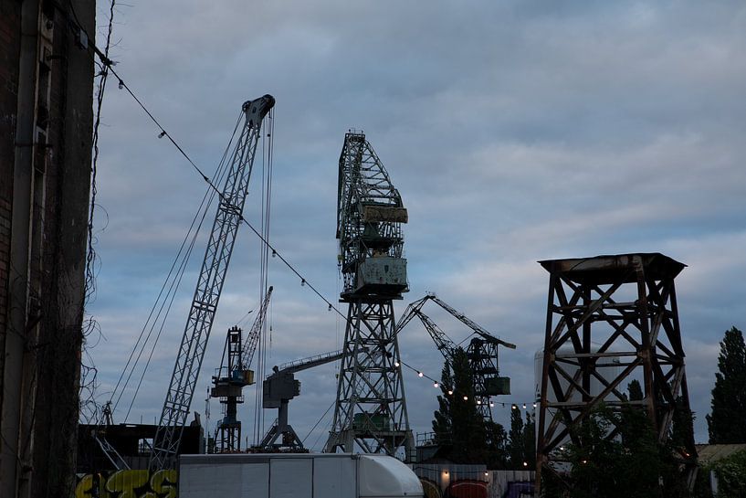 Danziger Hafen in Polen mit den berühmten Kränen von Eric van Nieuwland