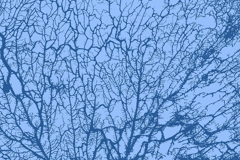 Die Seele des Waldes Blau von Mad Dog Art