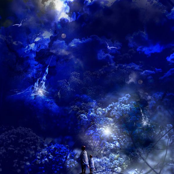 ECHOS VON UNS SELBST von Ted van den Aarssen