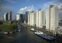 Leuvehaven, Rotterdam