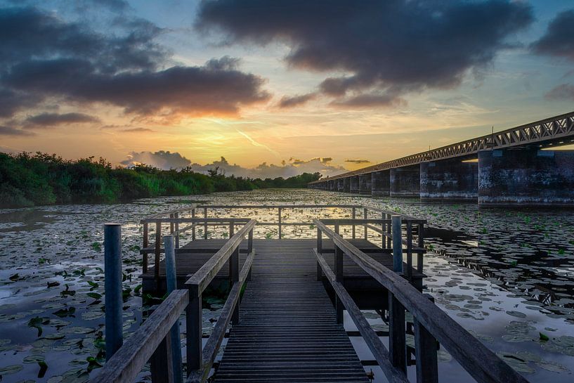 Pont de puits de noix à Den Bosch par Dennis Donders