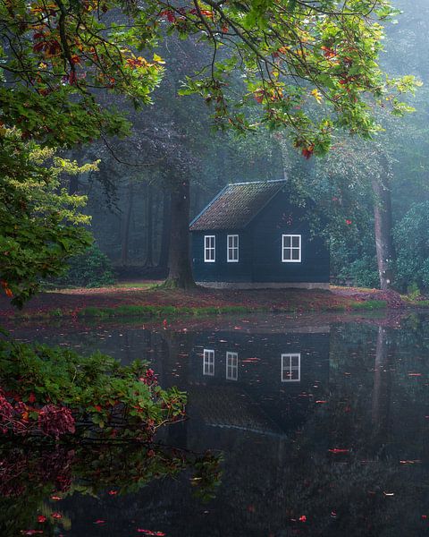 Hut in het bos van Arda Acar