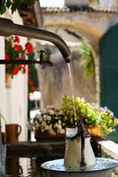 Wasserspeier Sommerfrische