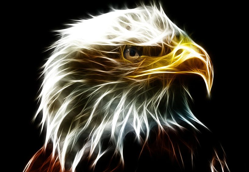 Aus dem Auge eines Adlers von Bert Hooijer