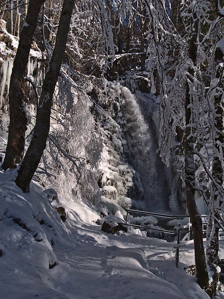 Todtnauer Wasserfälle im Winter von Timon Schneider