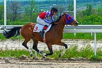 The finish of the horse race.