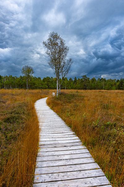 Wurzacher Ried in autumn by Walter G. Allgöwer