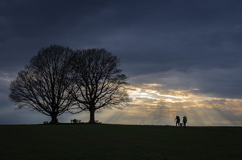 Evening mood at the holy oaks by Jürgen Schmittdiel Photography