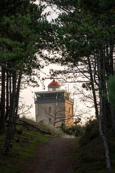 Blick durch von Marjolein van Roosmalen